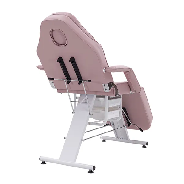 cosmos-700-beauty-bed-blush-rear-angle-backrest-mechanism.webp