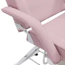 cosmos-700-beauty-bed-blush-armrest-closeup.webp