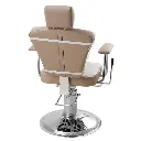 clear-chair-cover-monte-carlo-rear-view-dsse.webp.webp